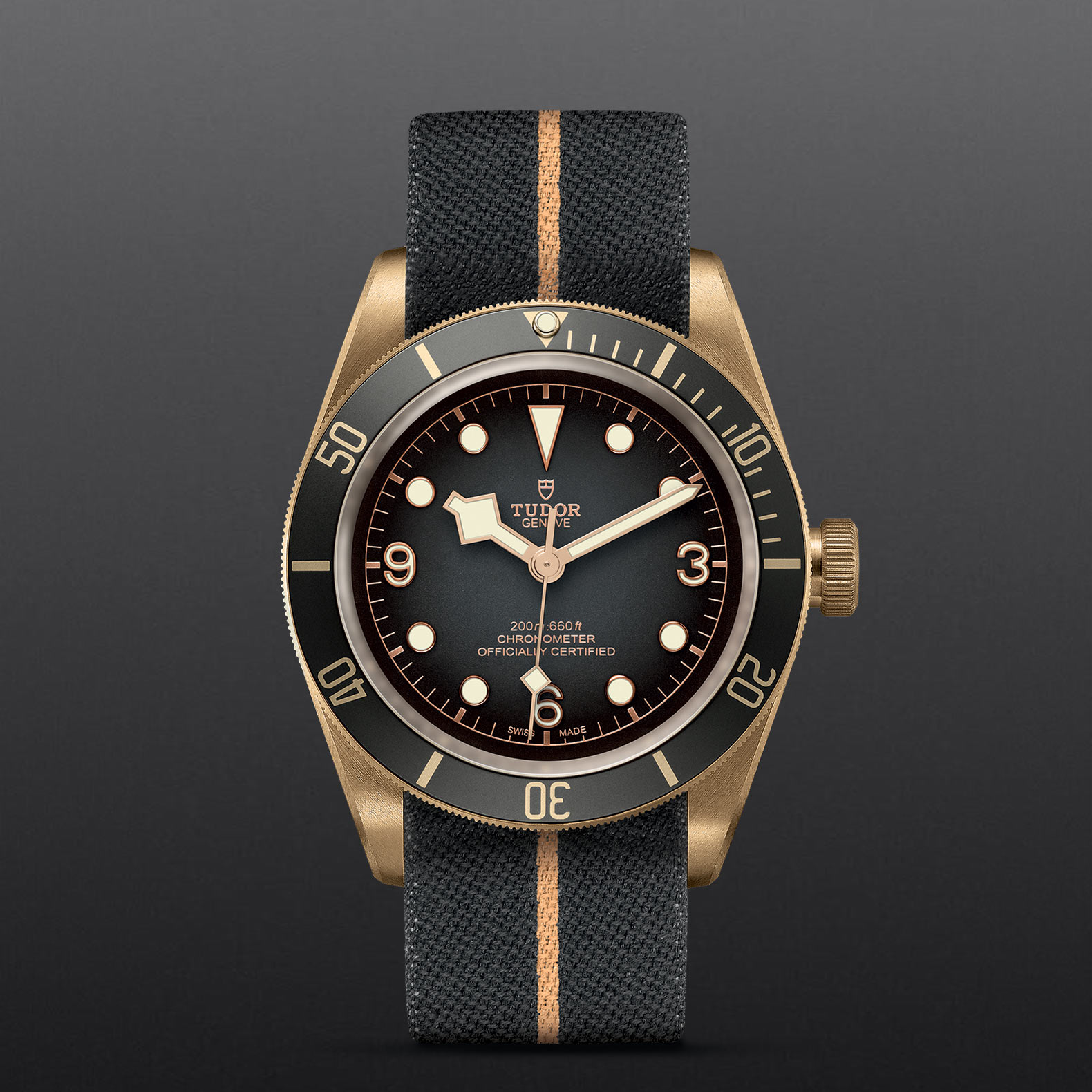 Tudor Black Bay Bronze M79250BA 0002 Chang Ein Hong