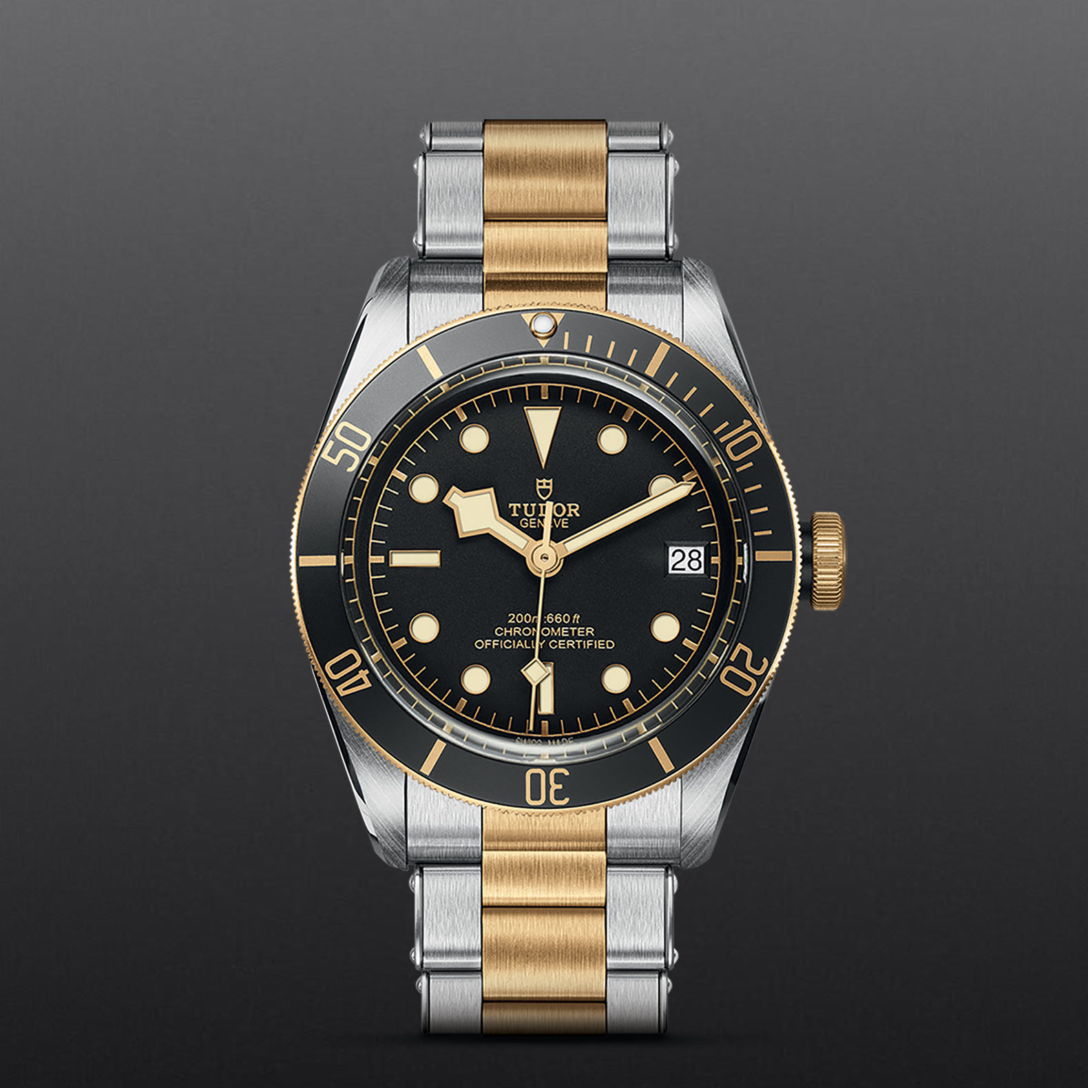 Tudor heritage black bay s&g online 79733n